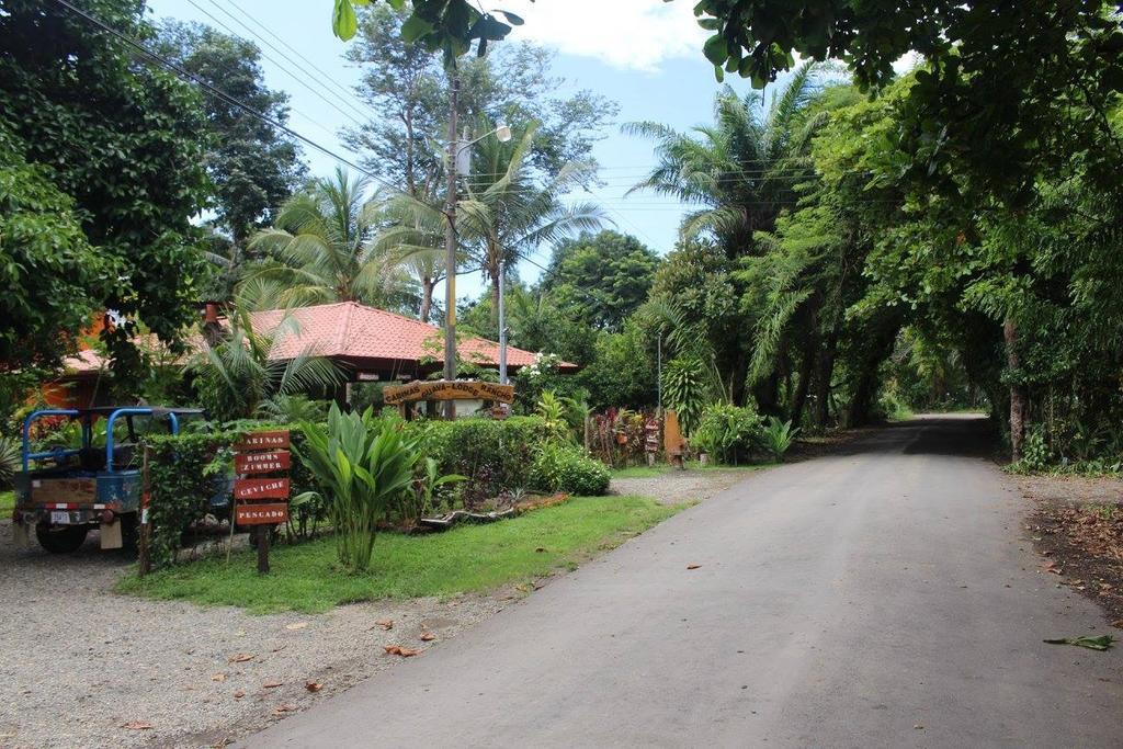 Guava Lodge Playa Matapalo Esterno foto